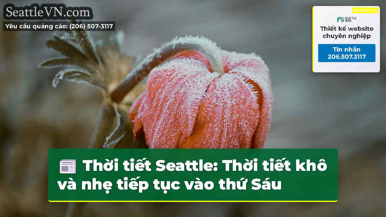 tin tức seattle SeattleVN