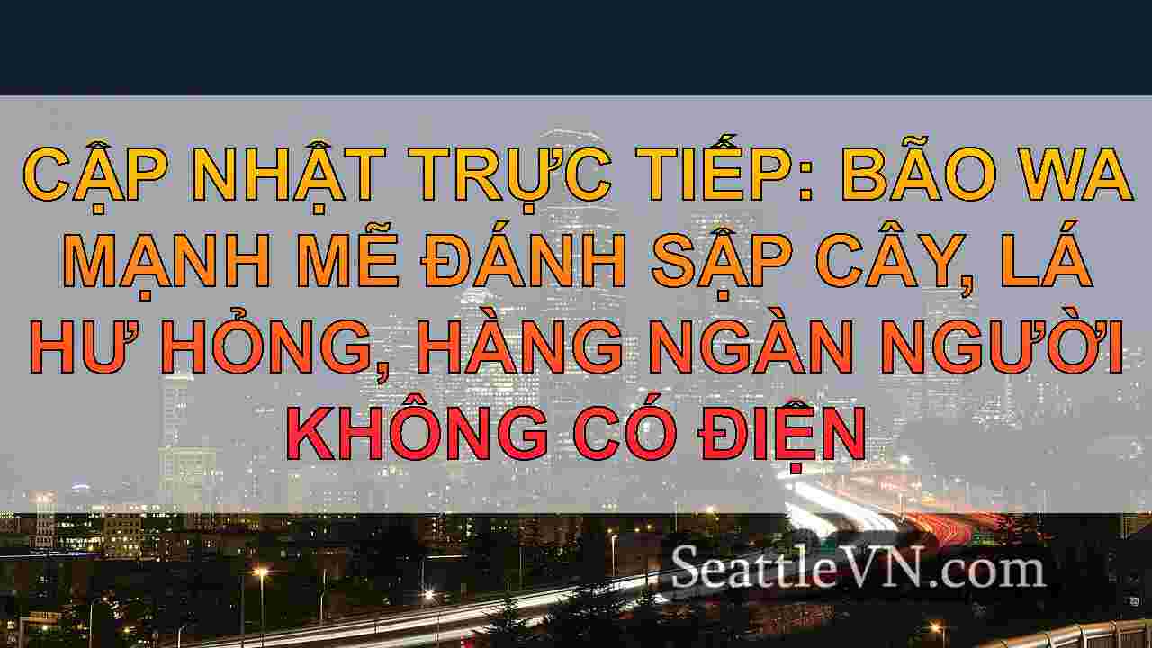 Cập nhật trực tiếp: Bão wa mạnh mẽ đánh sập cây,