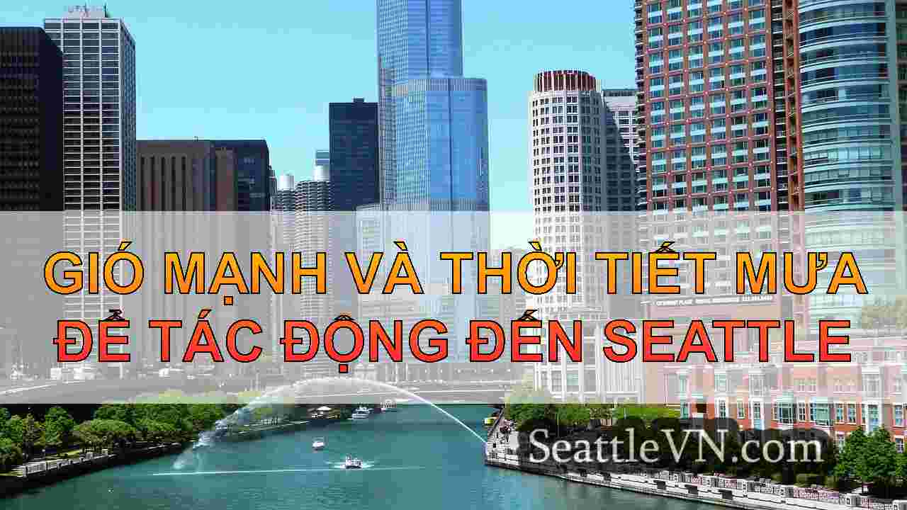 tin tức seattle SeattleVN