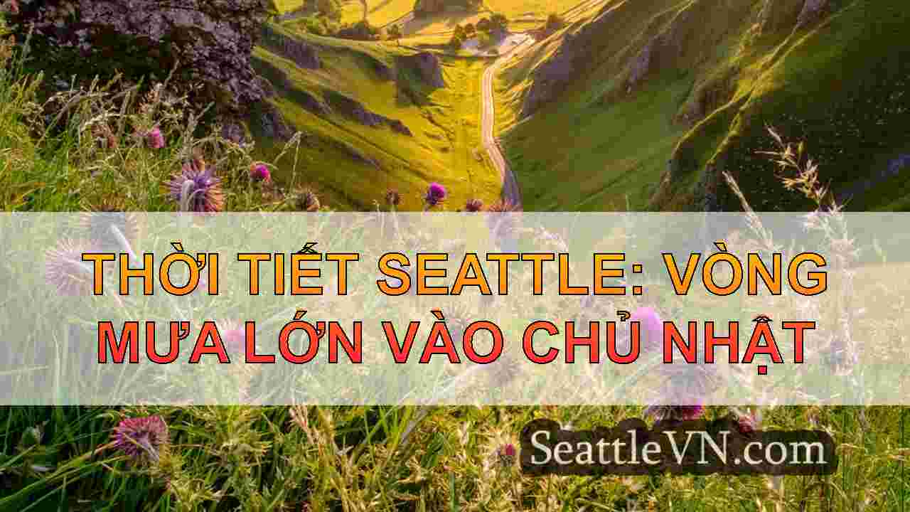 tin tức seattle SeattleVN