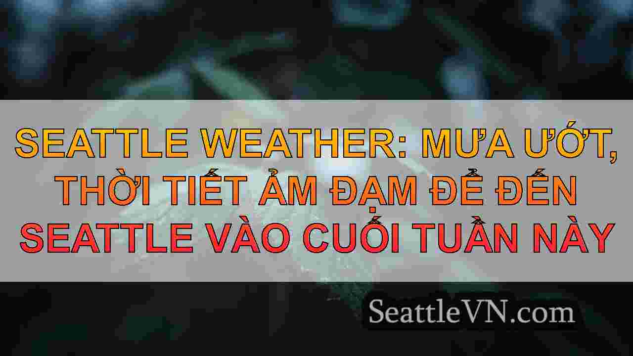 tin tức seattle SeattleVN