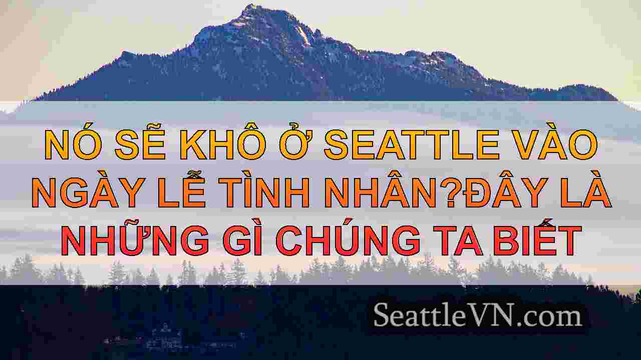 tin tức seattle SeattleVN