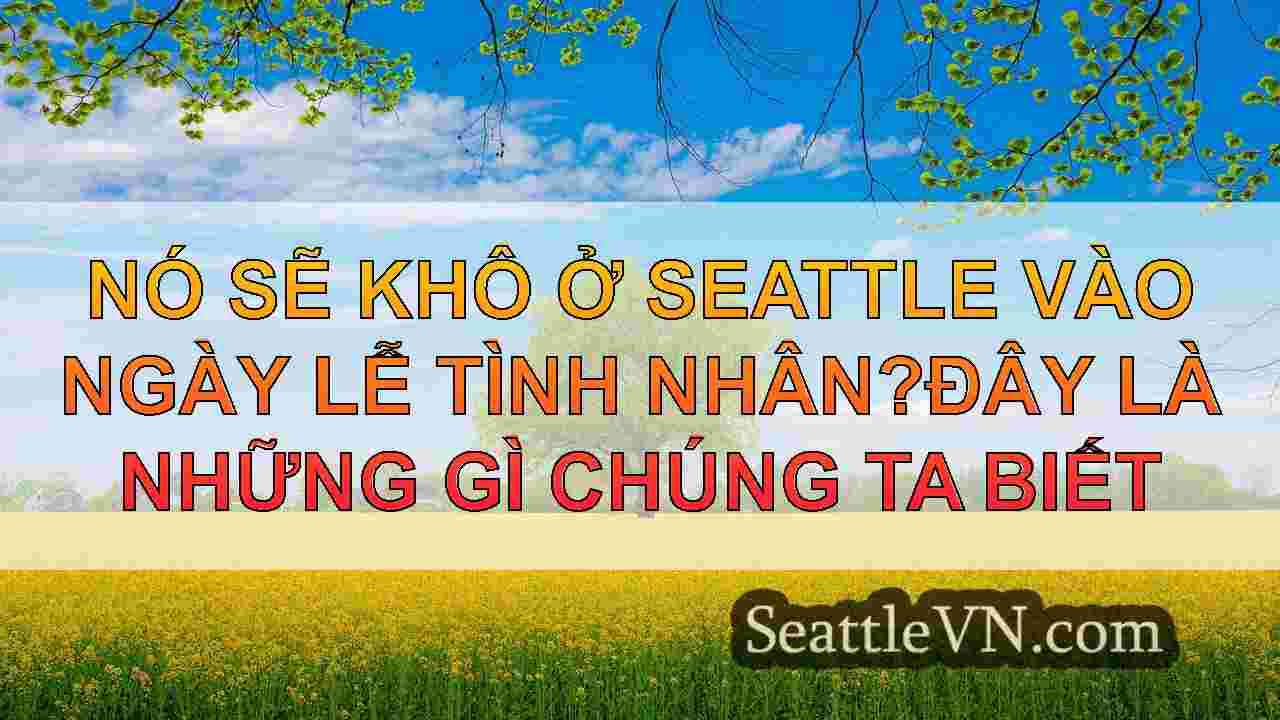 Nó sẽ khô ở Seattle vào ngày lễ tình