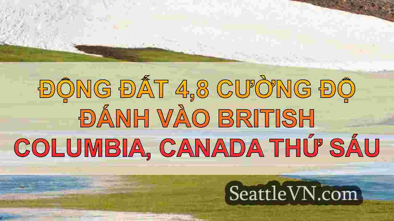 tin tức seattle SeattleVN