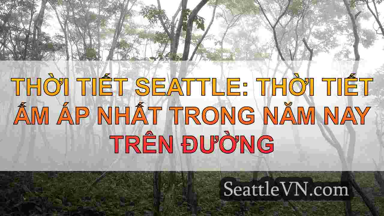 tin tức seattle SeattleVN