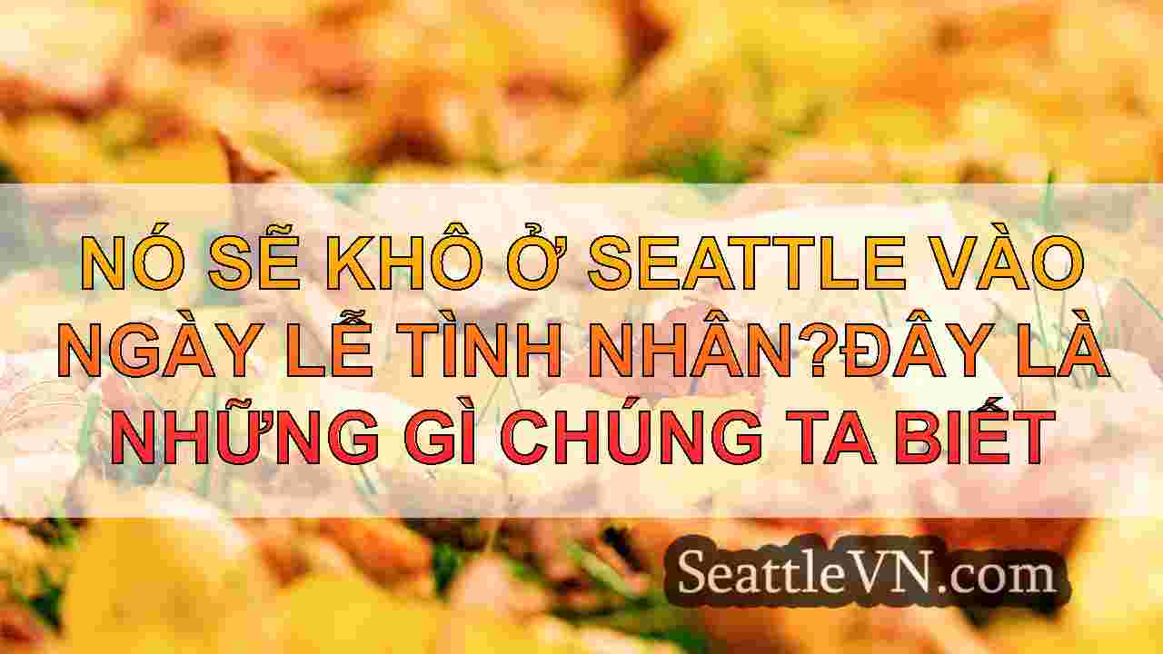 tin tức seattle SeattleVN