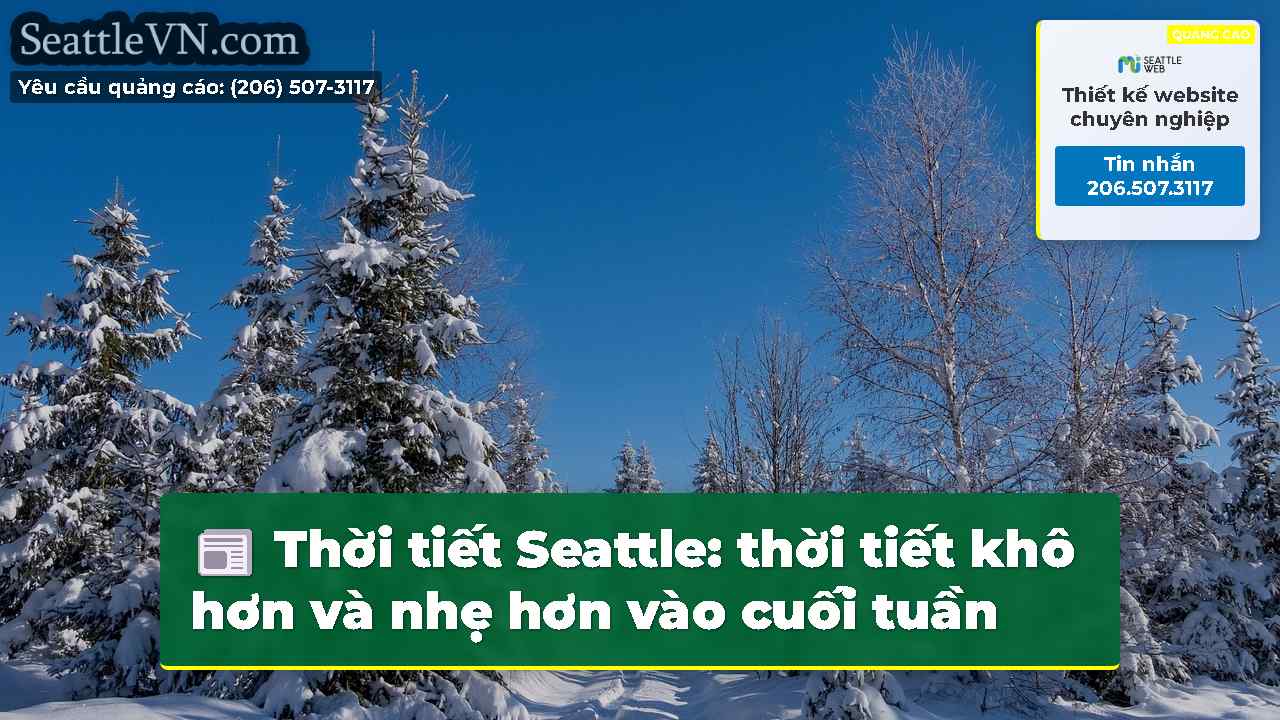 tin tức seattle SeattleVN