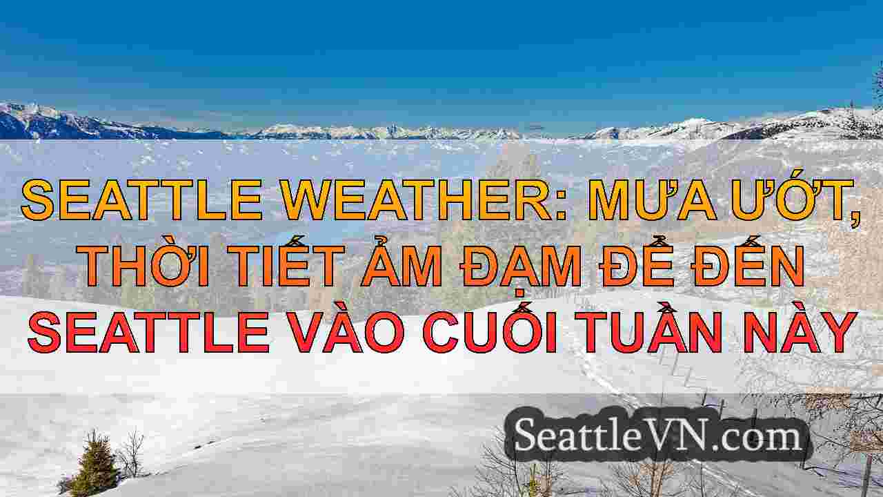 Seattle Weather: mưa ướt, thời tiết ảm