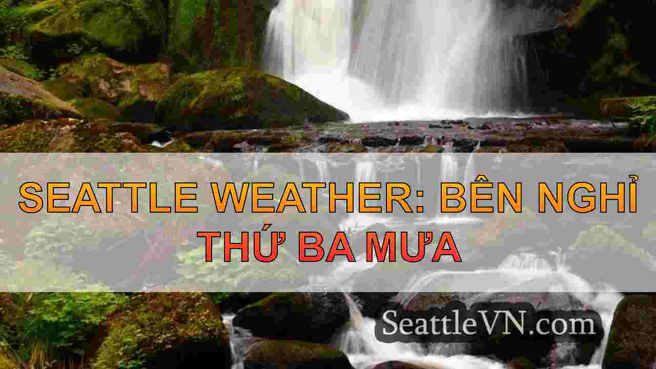 Seattle Weather: Bên nghỉ thứ ba mưa