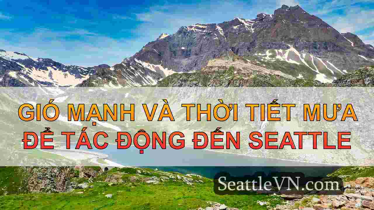 Gió mạnh và thời tiết mưa để tác động