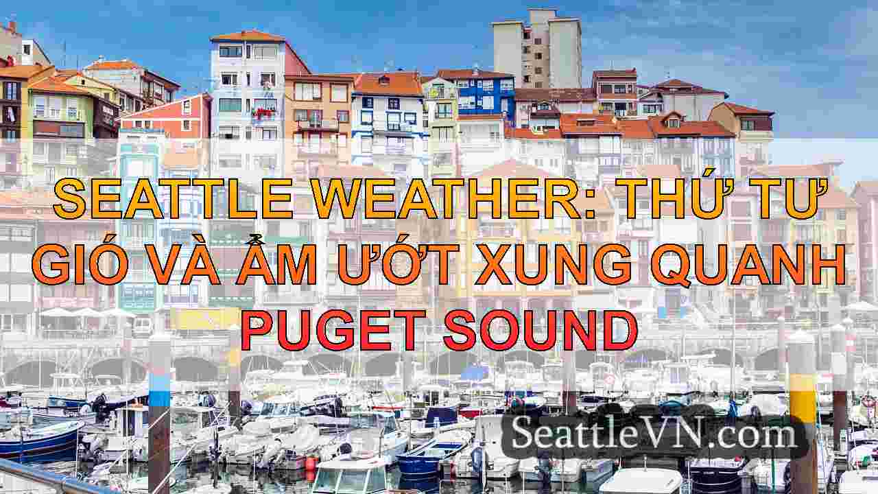Seattle Weather: Thứ tư gió và ẩm ướt
