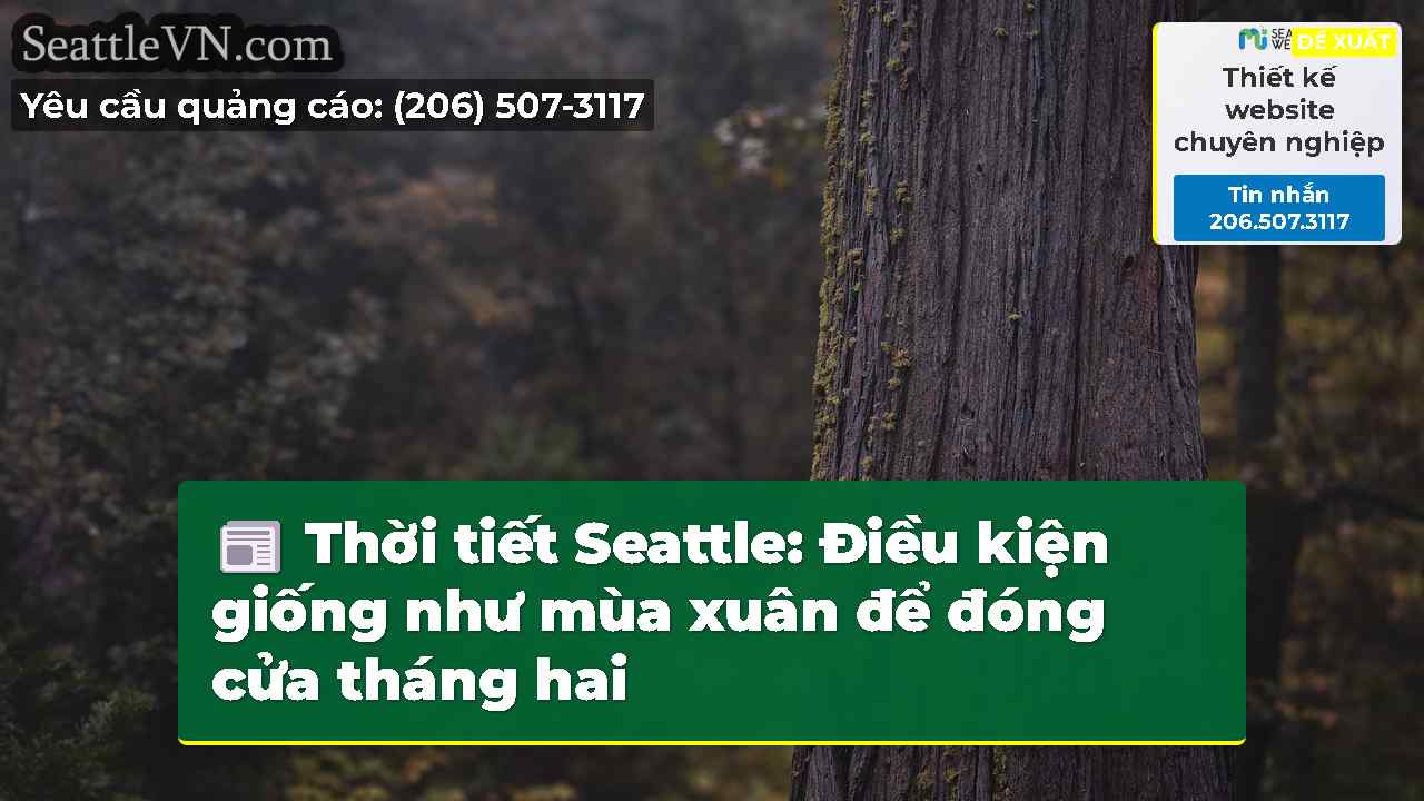 tin tức seattle SeattleVN