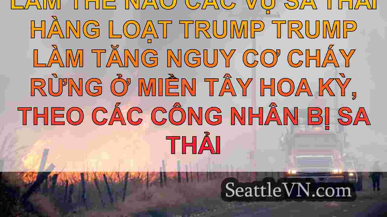 Làm thế nào các vụ sa thải hàng loạt