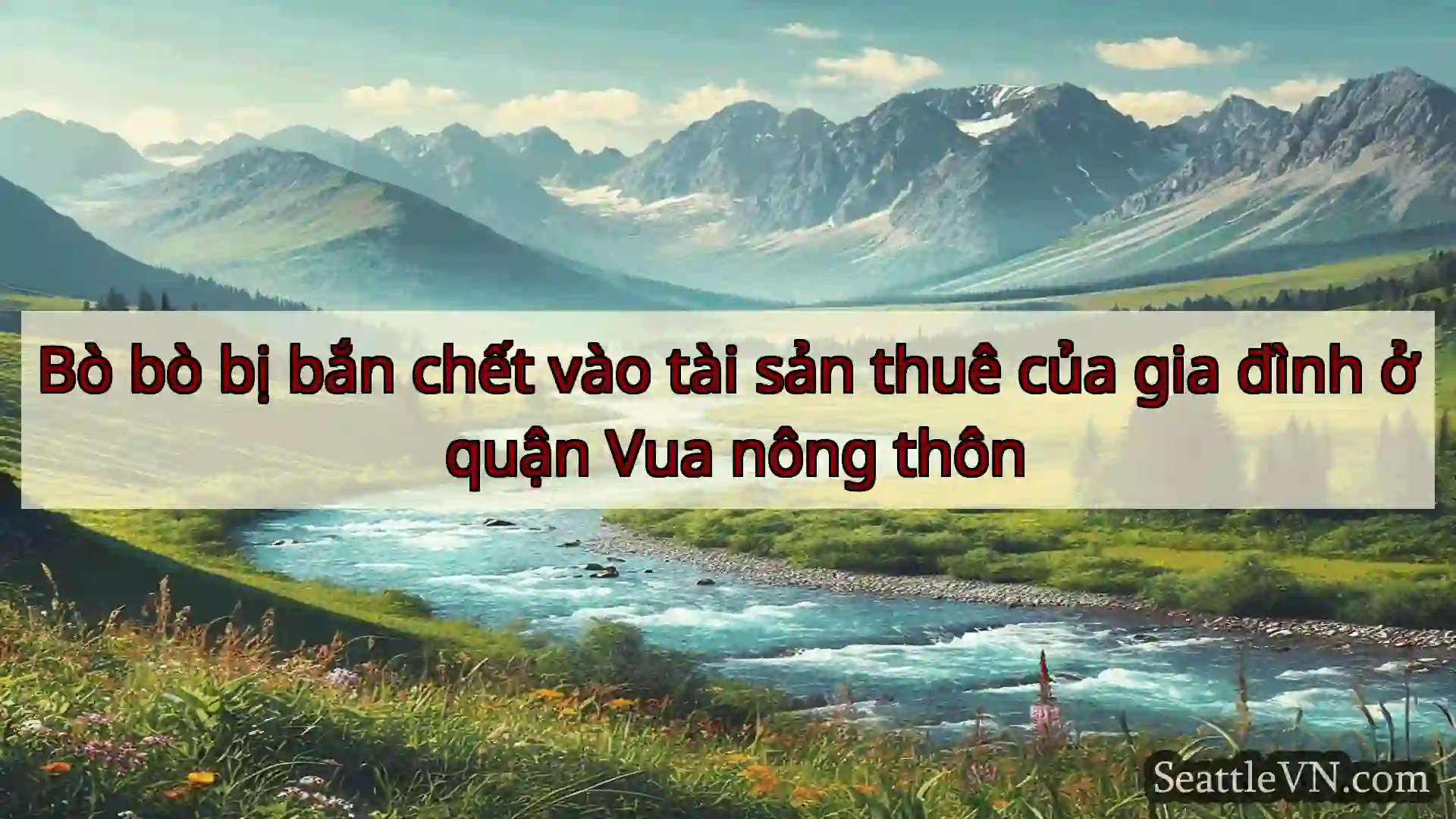 Bò bò bị bắn chết vào tài sản thuê của gia đình ở