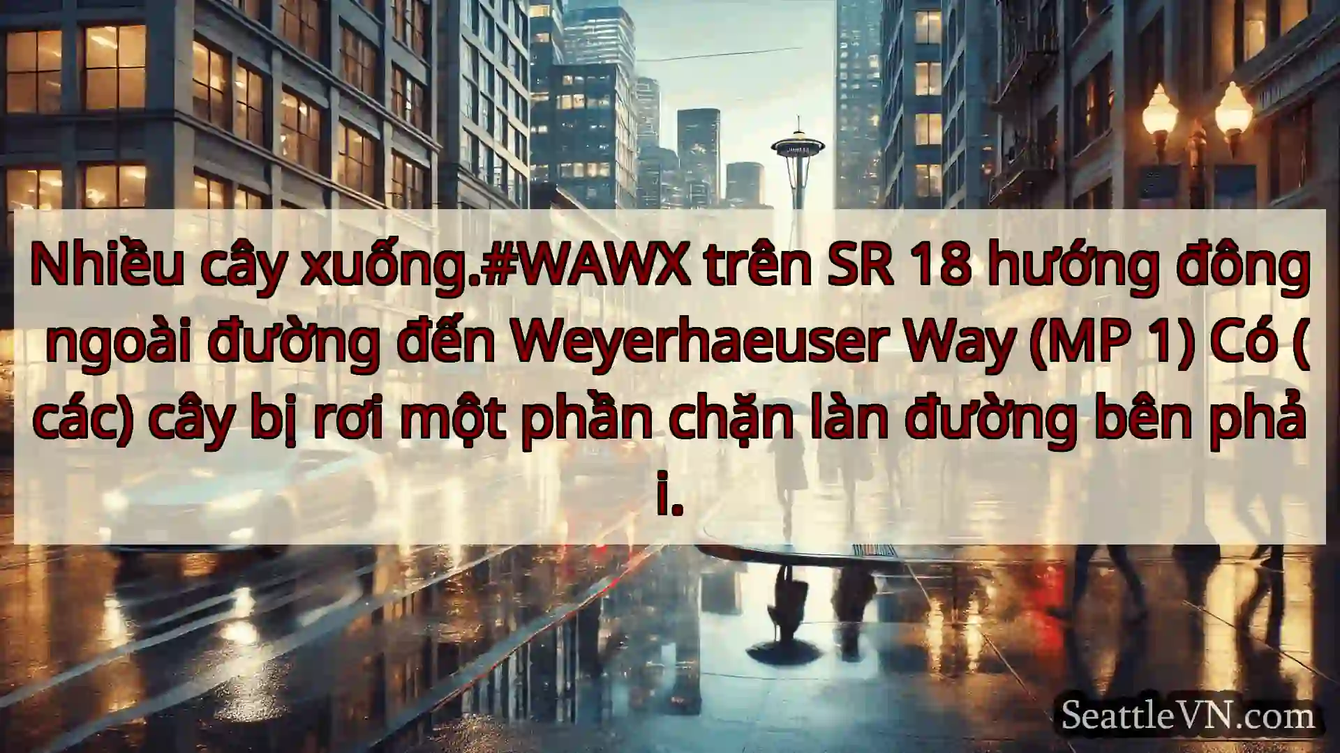 Nhiều cây xuống.#WAWX trên SR 18 hướng đông ngoài