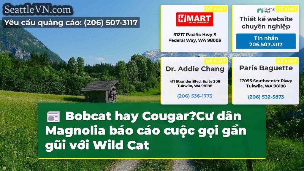 Bobcat hay Cougar?Cư dân Magnolia báo cáo cuộc