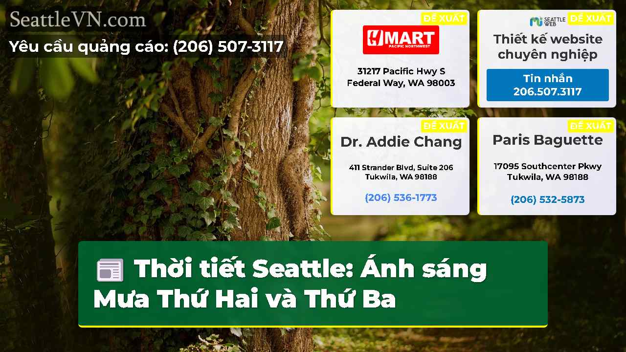 tin tức seattle SeattleVN