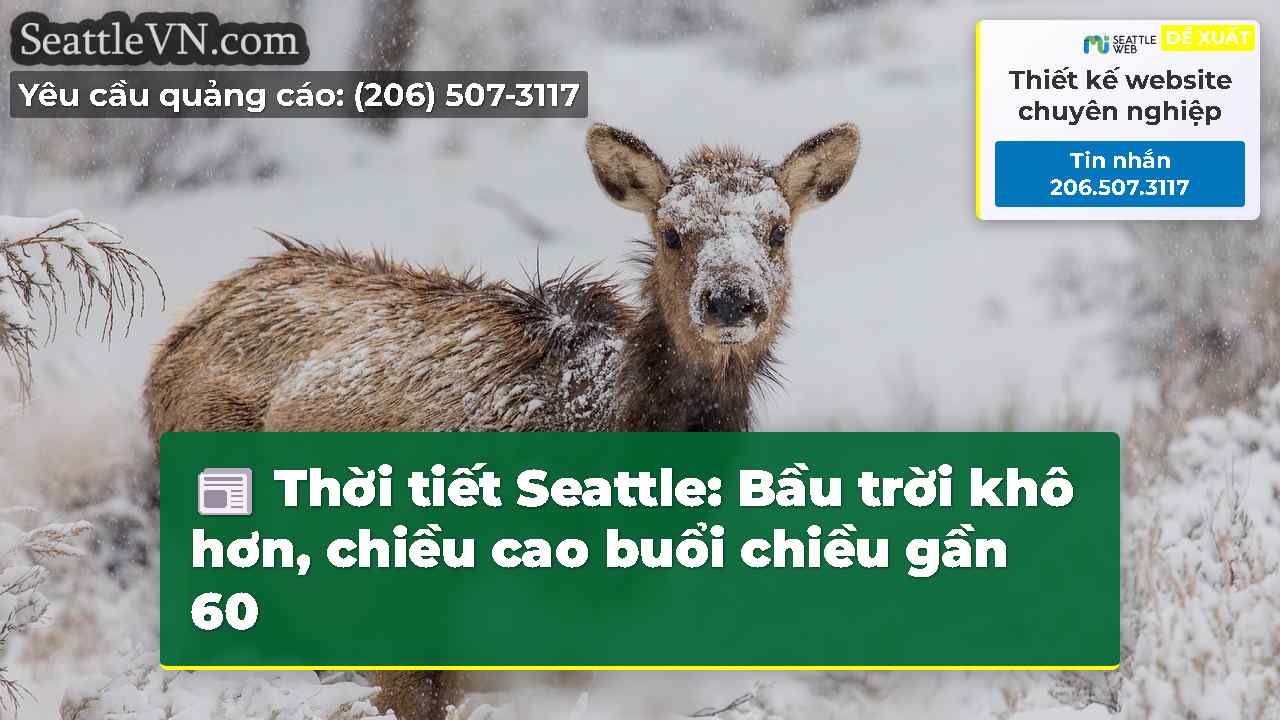 tin tức seattle SeattleVN