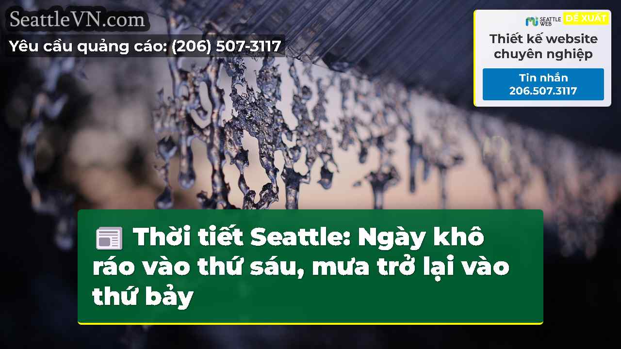 tin tức seattle SeattleVN