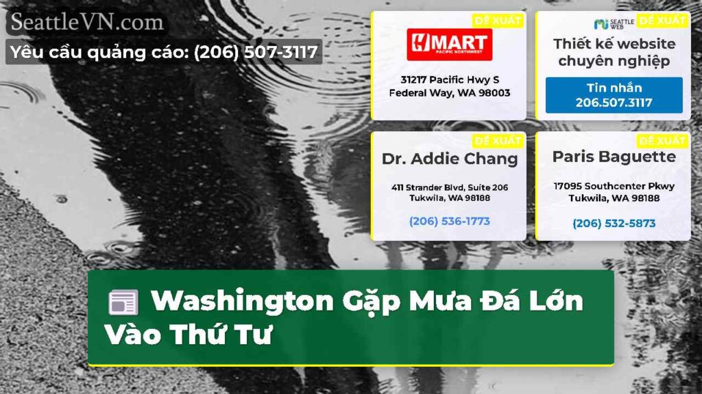 Washington Gặp Mưa Đá Lớn Vào Thứ Tư