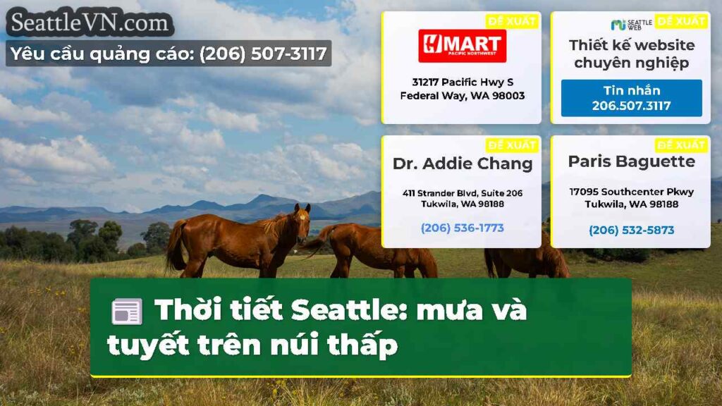 Thời tiết Seattle: mưa và tuyết trên núi thấp