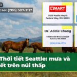 Thời tiết Seattle mưa và tuyết trên núi thấp