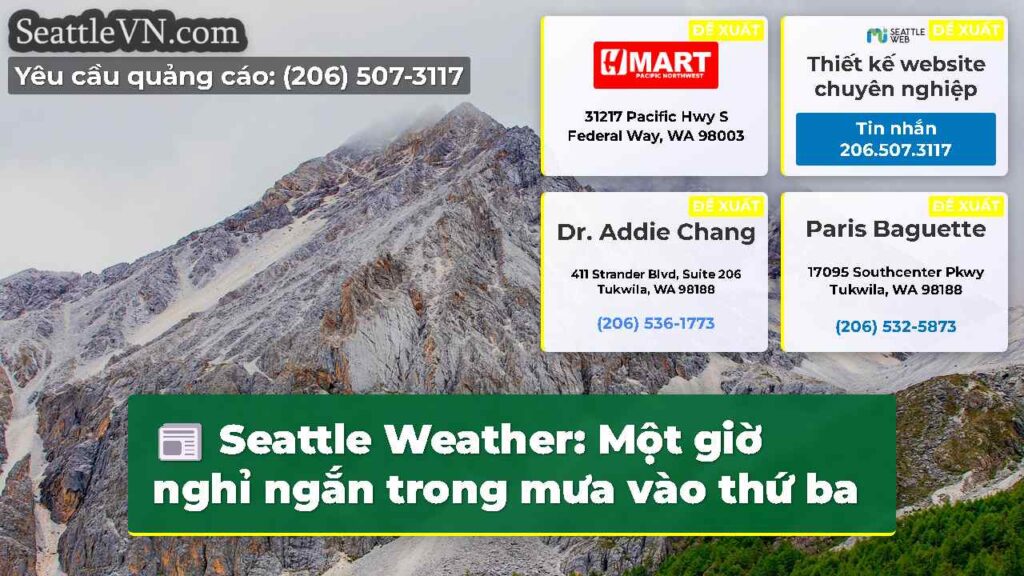 Seattle Weather: Một giờ nghỉ ngắn trong mưa vào