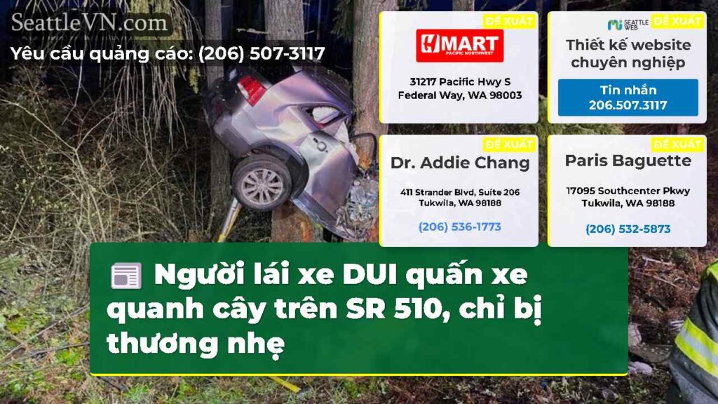 Người lái xe DUI quấn xe quanh cây trên SR 510,