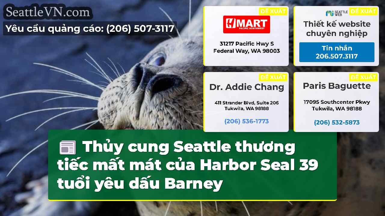 tin tức seattle SeattleVN