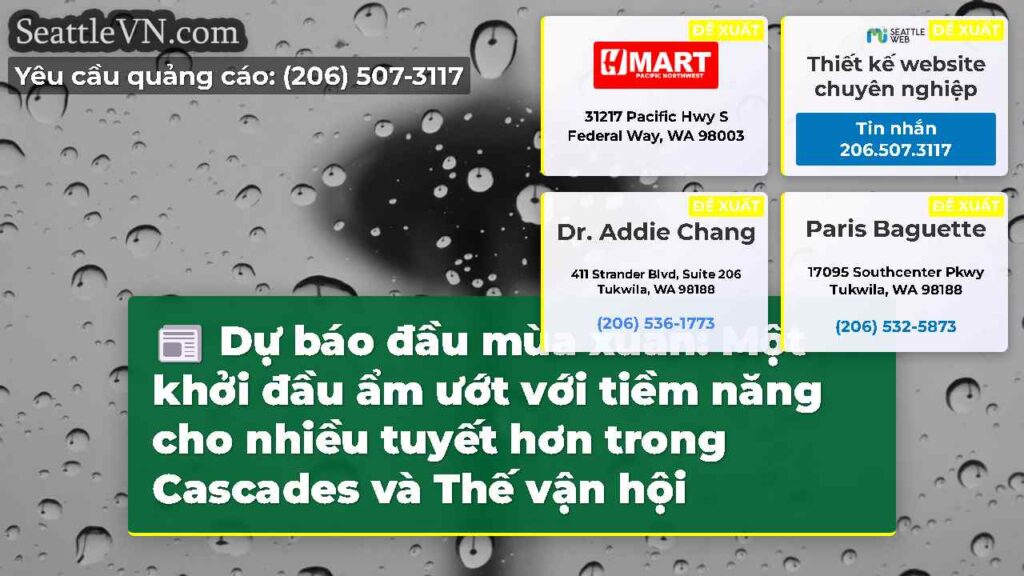 Dự báo đầu mùa xuân: Một khởi đầu ẩm ướt với tiềm