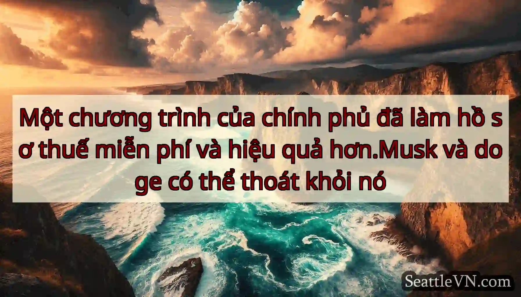 Một chương trình của chính phủ đã làm hồ sơ thuế