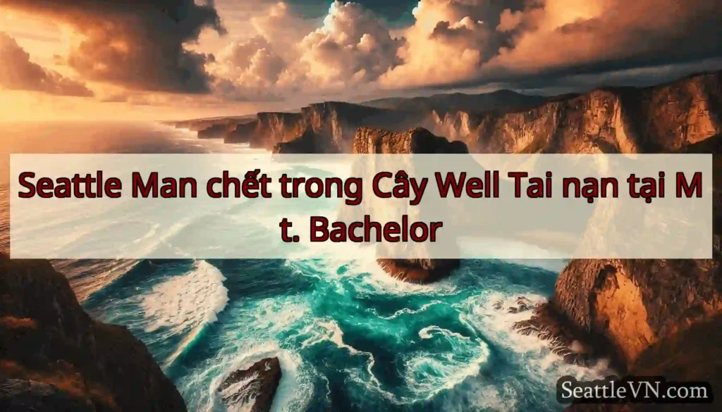 Seattle Man chết trong Cây Well Tai nạn tại Mt.