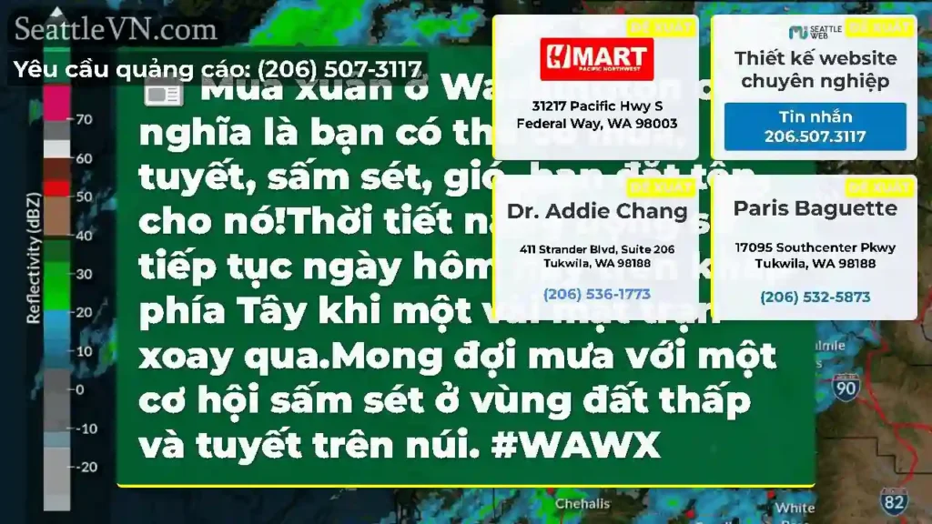 Mùa xuân ở Washington có nghĩa là bạn có thể có