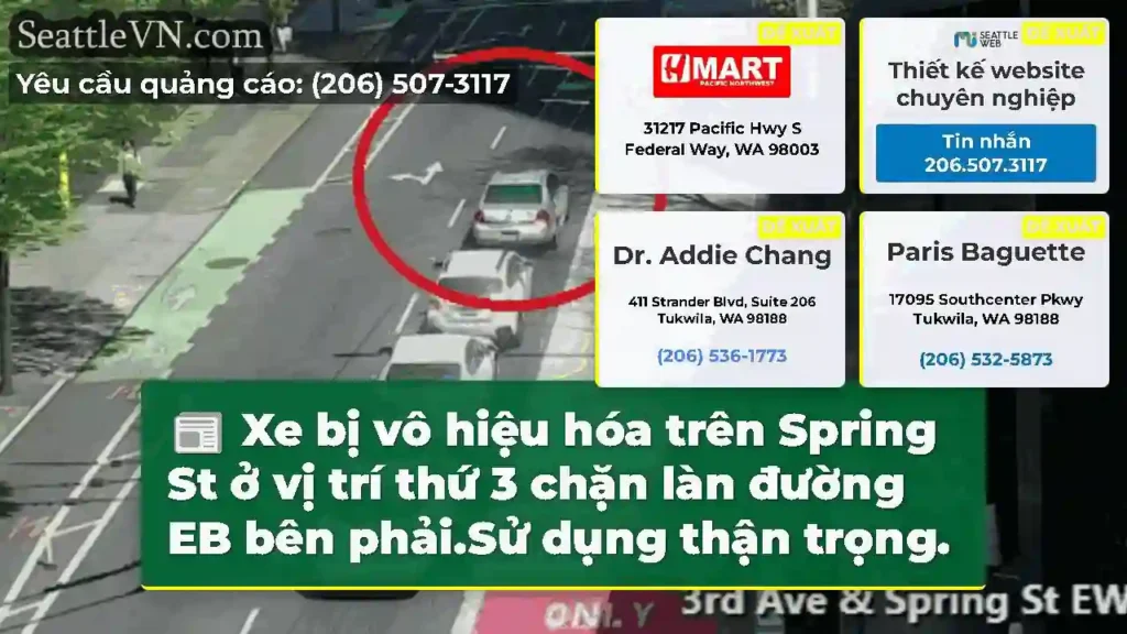 Xe bị vô hiệu hóa trên Spring St ở vị trí thứ 3