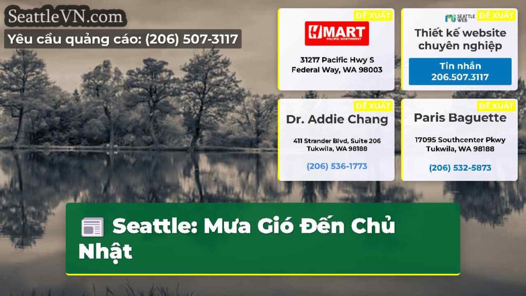 Seattle: Mưa Gió Đến Chủ Nhật