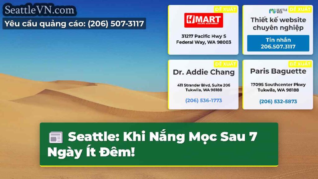 Seattle: Khi Nắng Mọc Sau 7 Ngày Ít Đêm!