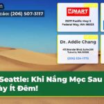 Seattle Khi Nắng Mọc Sau 7 Ngày Ít Đêm!