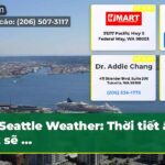 Seattle Weather Thời tiết ẩm ướt sẽ …