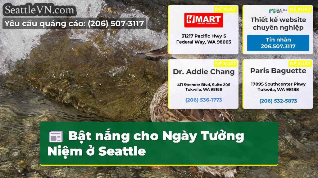 Bật nắng cho Ngày Tưởng Niệm ở Seattle