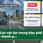 Các vật lộn trong khu phố của thành p…