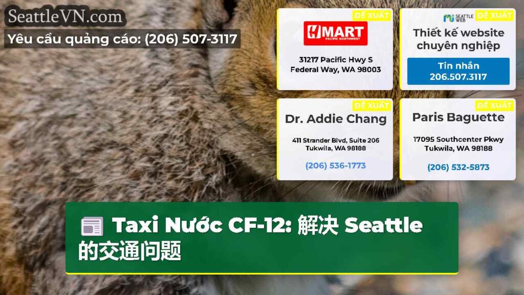 Taxi Nước CF-12: 解决 Seattle 的交通问题