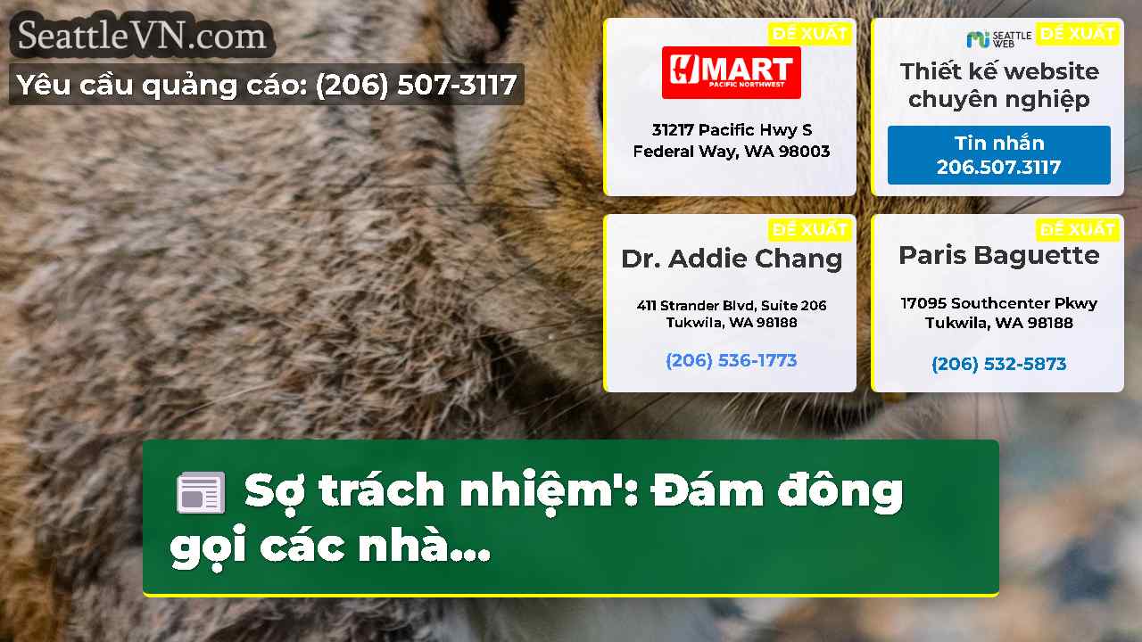 tin tức seattle SeattleVN