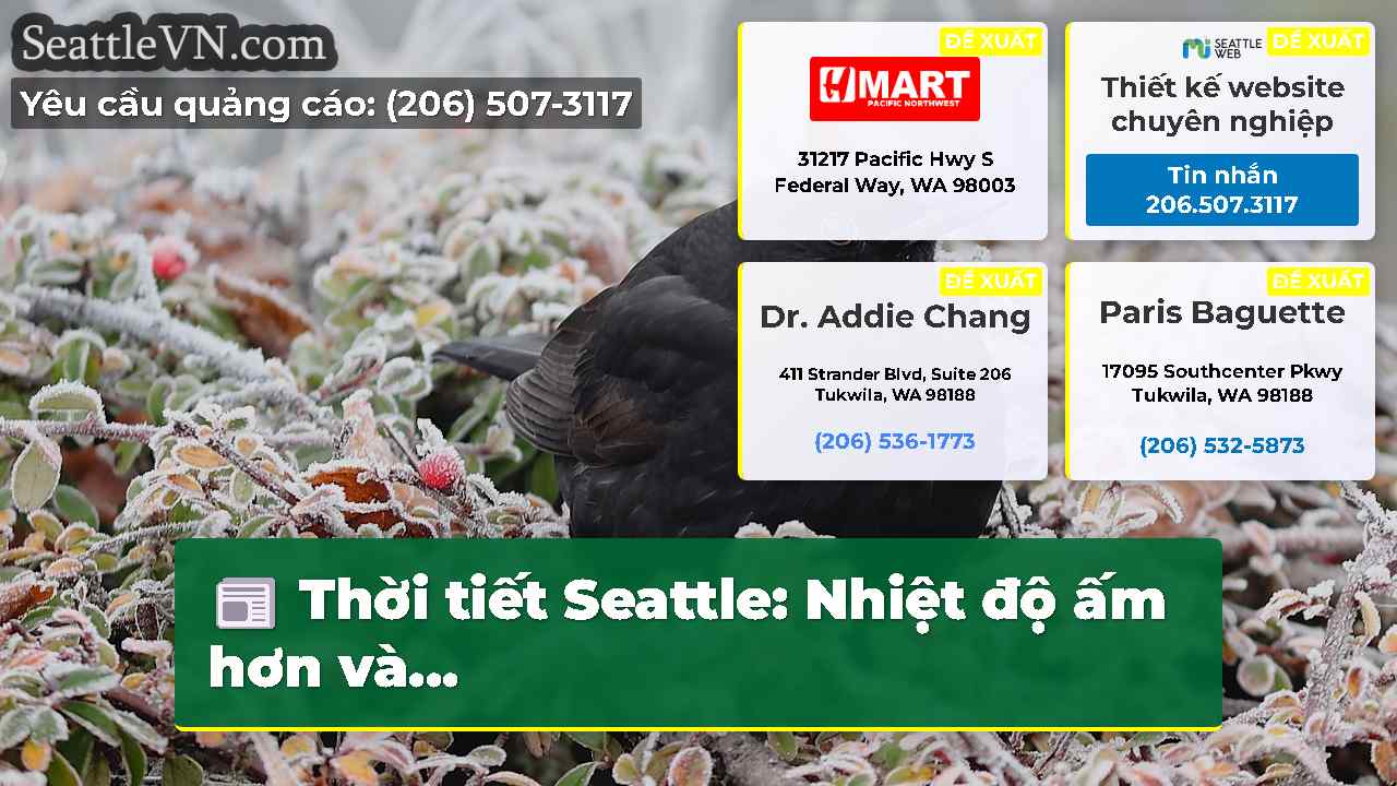 tin tức seattle SeattleVN