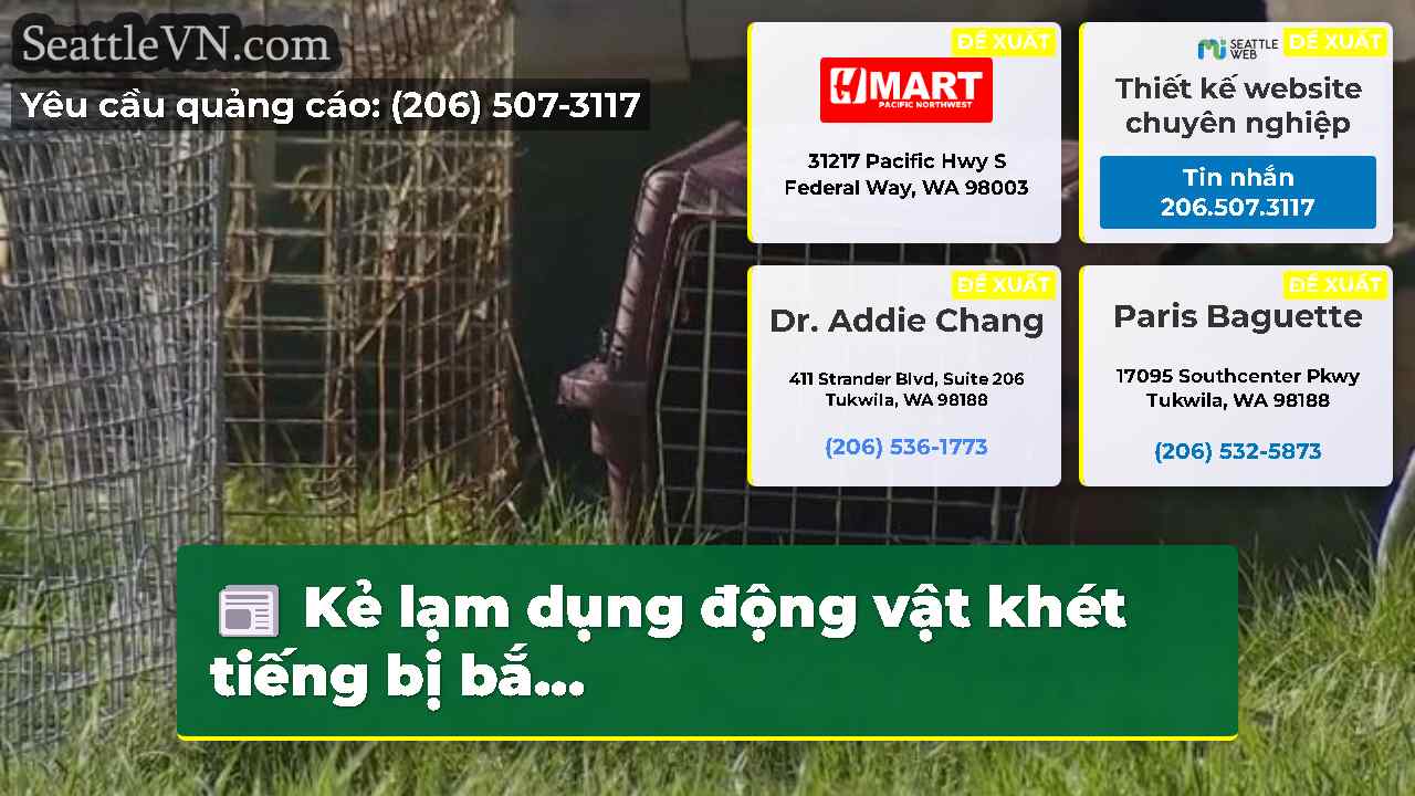 tin tức seattle SeattleVN