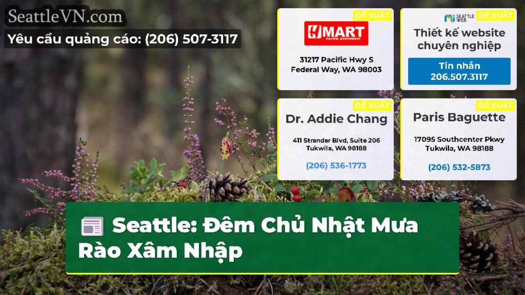 Seattle: Đêm Chủ Nhật Mưa Rào Xâm Nhập