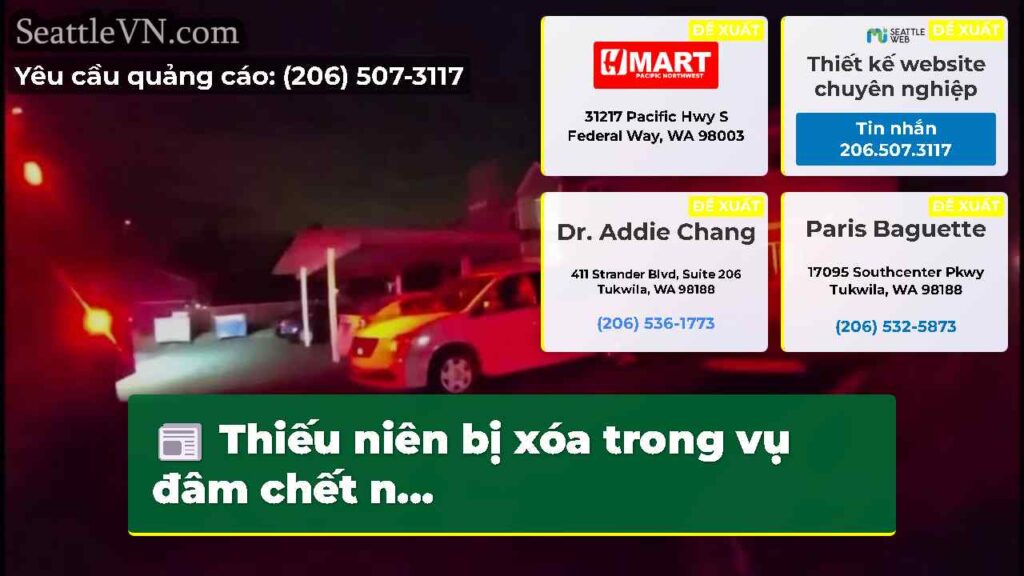 Thiếu niên bị xóa trong vụ đâm chết n...