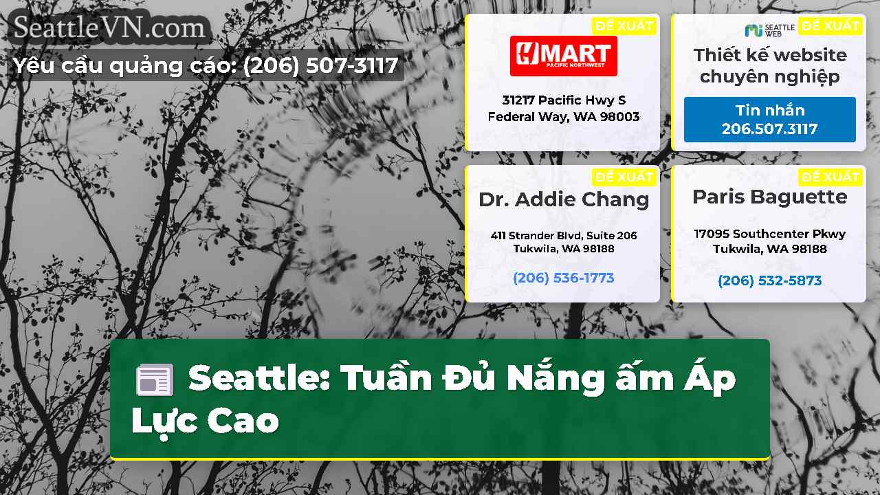 tin tức seattle SeattleVN
