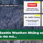 Seattle Weather Những cơn mưa rào má…