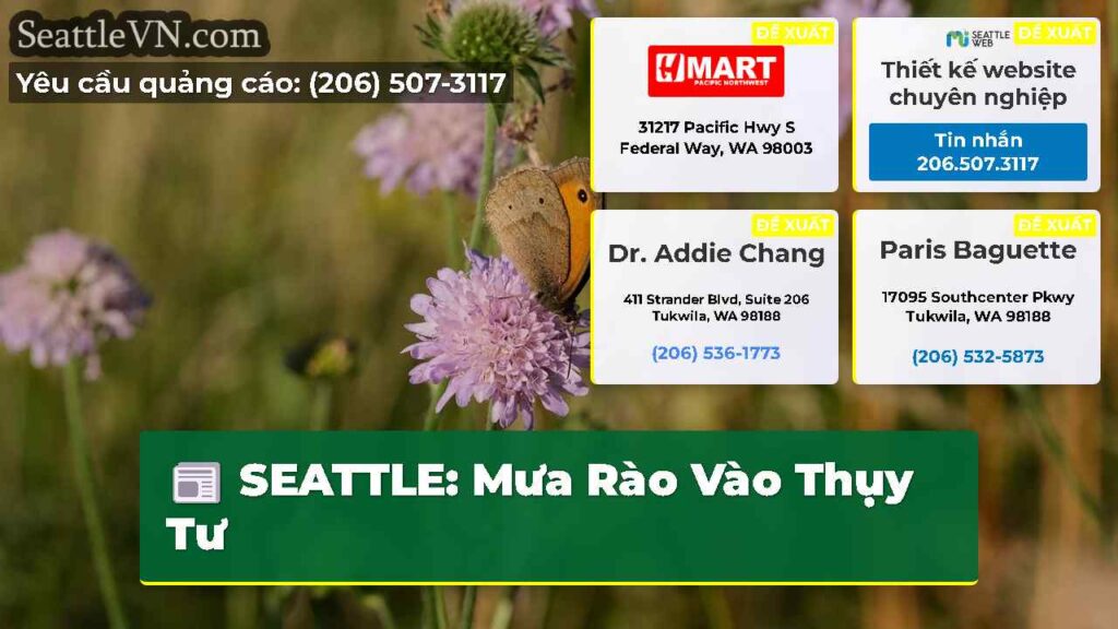SEATTLE: Mưa Rào Vào Thụy Tư