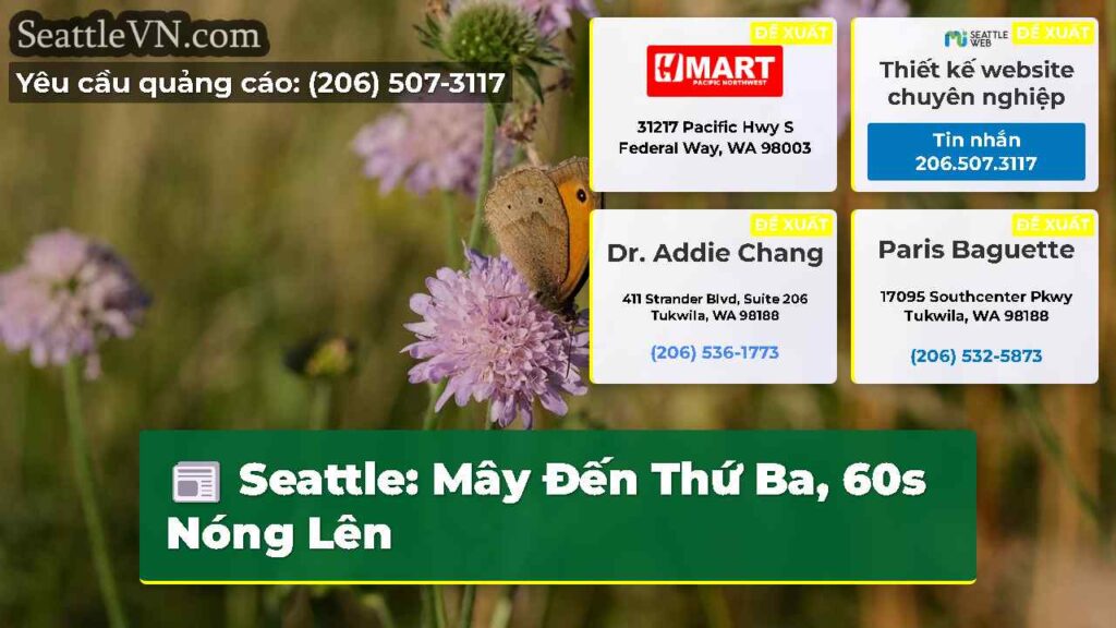 Seattle: Mây Đến Thứ Ba, 60s Nóng Lên